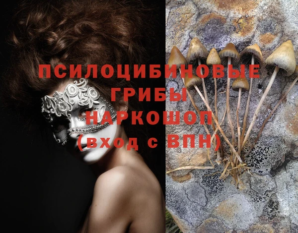наркотики Горно-Алтайск