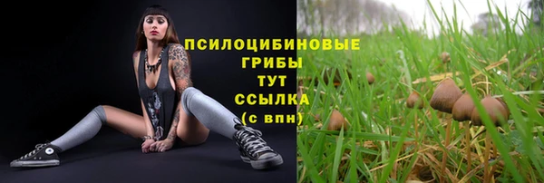 сатива Баксан