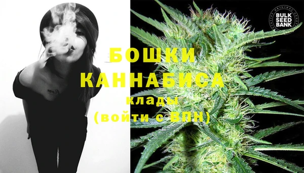 сатива Баксан