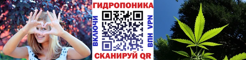 Каннабис сатива  Кропоткин 